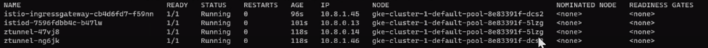 Check-ztunnel-pods-per-nodes