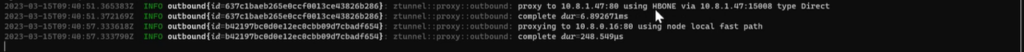 curl command and checking HBONE
