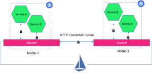 Implementation of ztunnel