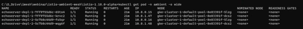 Pods running on different nodes