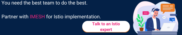 Talk to an Istio expert
