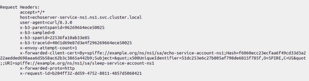 envoy cluster details and client spiffe id
