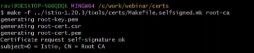 Create the root certificate and cluster certificate